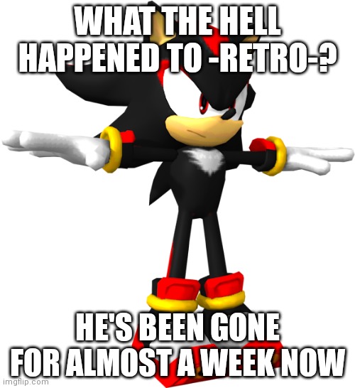 i hope he's doing ok | WHAT THE HELL HAPPENED TO -RETRO-? HE'S BEEN GONE FOR ALMOST A WEEK NOW | image tagged in shadow the hedgehog t pose | made w/ Imgflip meme maker