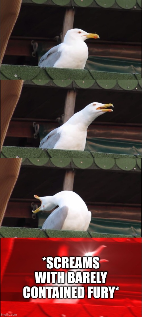 Inhaling Seagull Meme | *SCREAMS WITH BARELY CONTAINED FURY* | image tagged in memes,inhaling seagull | made w/ Imgflip meme maker