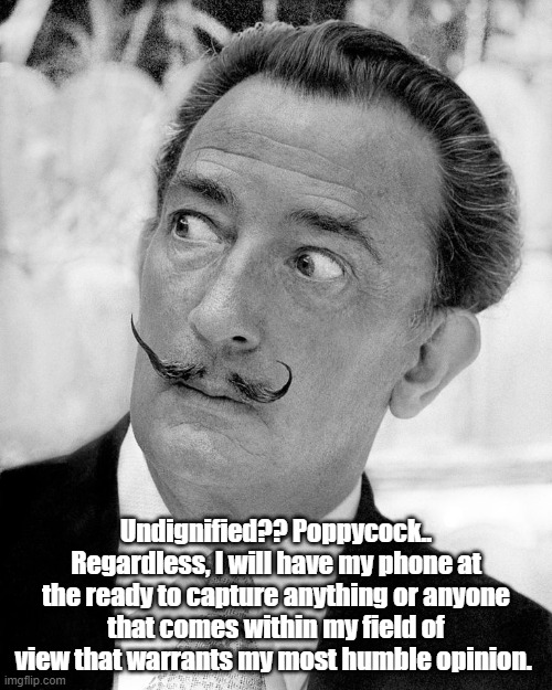 Meme | Undignified?? Poppycock.. Regardless, I will have my phone at the ready to capture anything or anyone that comes within my field of view that warrants my most humble opinion. | image tagged in salvador dali | made w/ Imgflip meme maker