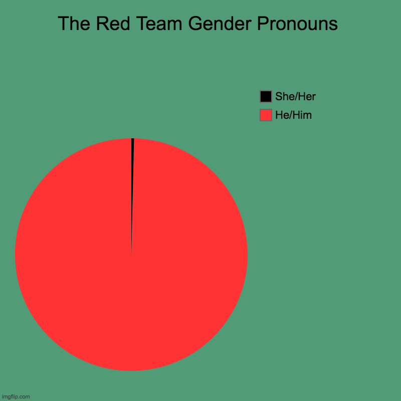 A bit unique | The Red Team Gender Pronouns | He/Him, She/Her | image tagged in charts,pie charts | made w/ Imgflip chart maker