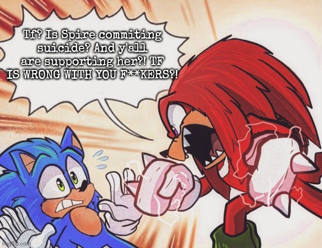 Knuckles yelling at Sonic | Tf? Is Spire commiting suicide? And y'all are supporting her?! TF IS WRONG WITH YOU F**KERS?! | image tagged in knuckles yelling at sonic | made w/ Imgflip meme maker