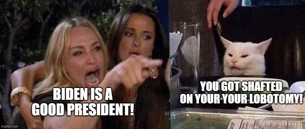 This explains everything. | YOU GOT SHAFTED ON YOUR YOUR LOBOTOMY! BIDEN IS A GOOD PRESIDENT! | image tagged in woman yelling at cat | made w/ Imgflip meme maker