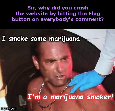 Cops marijuana smoker | Sir, why did you crash the website by hitting the Flag button on everybody's comment? I smoke some marijuana; I'm a marijuana smoker! | image tagged in cops marijuana smoker,imgflip trolls,vindictive,childish,liberally stoned,humor | made w/ Imgflip meme maker