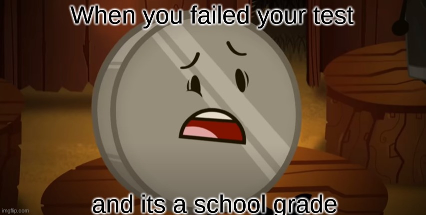 Nickel, I Voted For You Tonight | When you failed your test; and its a school grade | image tagged in nickel i voted for you tonight | made w/ Imgflip meme maker