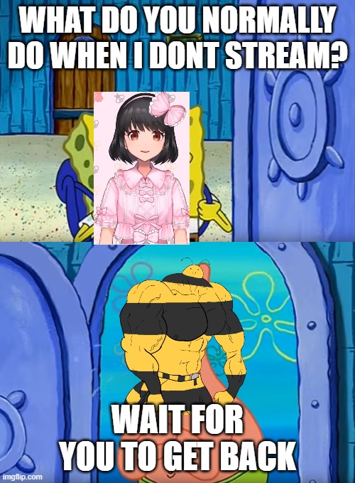 Spongebob Wait for you to get back | WHAT DO YOU NORMALLY DO WHEN I DONT STREAM? WAIT FOR YOU TO GET BACK | image tagged in spongebob wait for you to get back | made w/ Imgflip meme maker