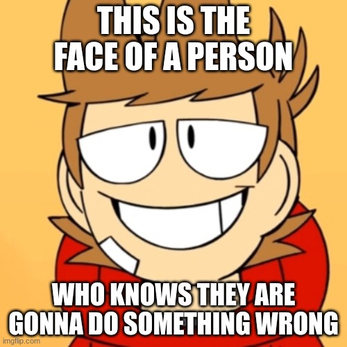 This man. | THIS IS THE FACE OF A PERSON; WHO KNOWS THEY ARE GONNA DO SOMETHING WRONG | image tagged in eddsworld | made w/ Imgflip meme maker