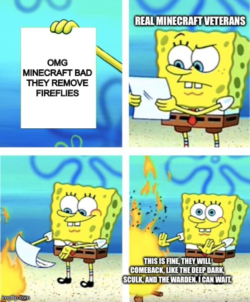 Real veterans like me can wait. So please join us and remain calm and patient. |  REAL MINECRAFT VETERANS; OMG MINECRAFT BAD THEY REMOVE FIREFLIES; THIS IS FINE, THEY WILL COMEBACK, LIKE THE DEEP DARK, SCULK, AND THE WARDEN. I CAN WAIT. | image tagged in spongebob burning paper,minecraft | made w/ Imgflip meme maker