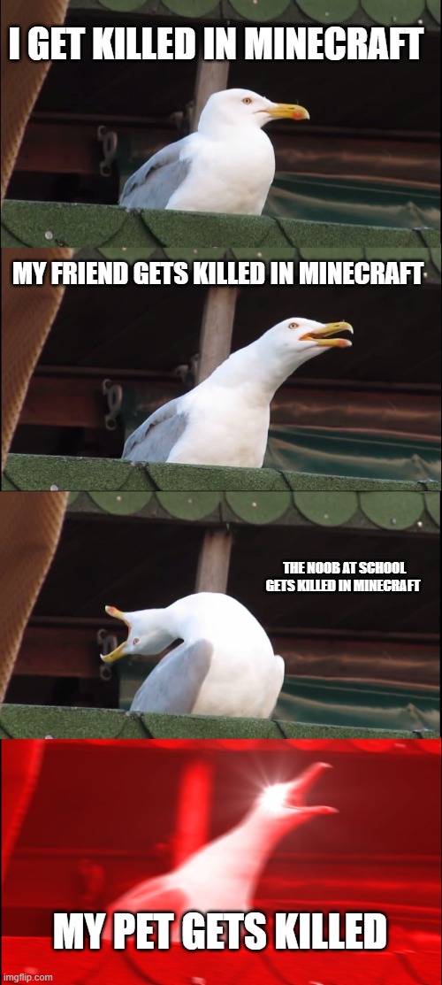 oh no |  I GET KILLED IN MINECRAFT; MY FRIEND GETS KILLED IN MINECRAFT; THE NOOB AT SCHOOL GETS KILLED IN MINECRAFT; MY PET GETS KILLED | image tagged in memes,inhaling seagull | made w/ Imgflip meme maker