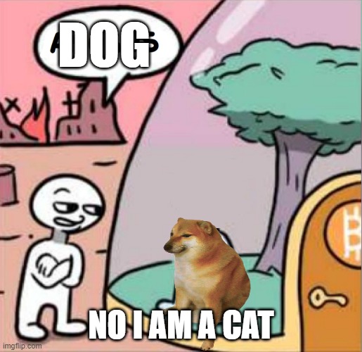 amogus | DOG; NO I AM A CAT | image tagged in amogus,cat,dog | made w/ Imgflip meme maker
