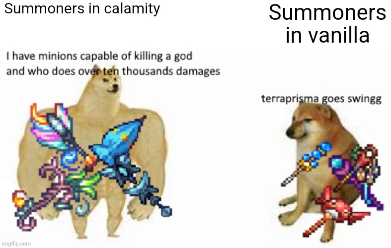 Summoners in calamity; Summoners in vanilla | image tagged in calamity mod | made w/ Imgflip meme maker