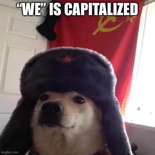 Russian Doge | “WE” IS CAPITALIZED | image tagged in russian doge | made w/ Imgflip meme maker