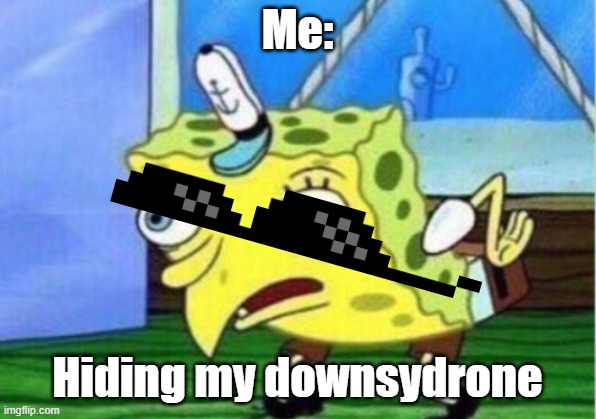 Mocking Spongebob | Me:; Hiding my downsydrone | image tagged in memes,mocking spongebob | made w/ Imgflip meme maker