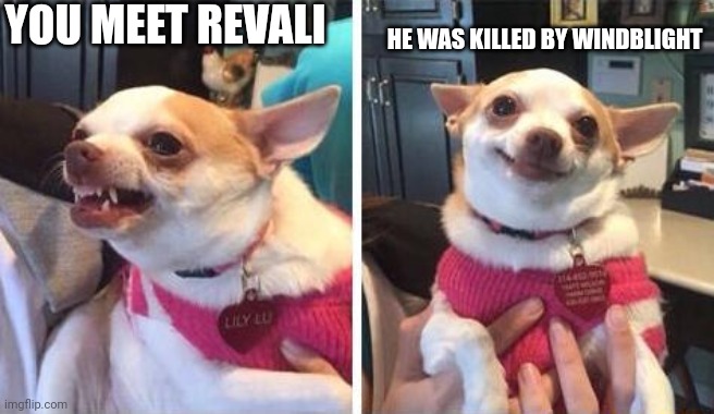 Yeeeeeeesssssss | YOU MEET REVALI; HE WAS KILLED BY WINDBLIGHT | image tagged in angry calm dog | made w/ Imgflip meme maker