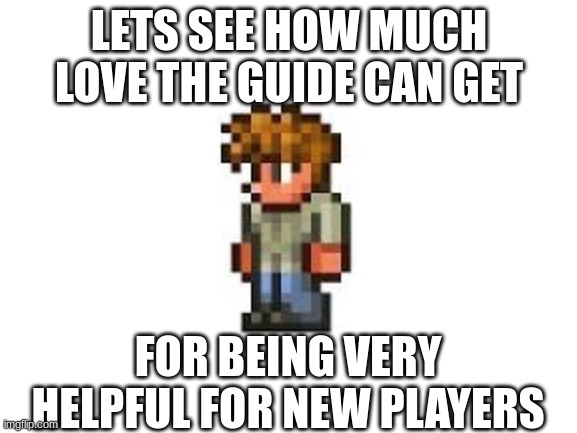terraria | LETS SEE HOW MUCH LOVE THE GUIDE CAN GET; FOR BEING VERY HELPFUL FOR NEW PLAYERS | image tagged in blank white template,terraria,memes | made w/ Imgflip meme maker