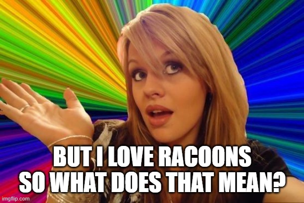 Dumb Blonde Meme | BUT I LOVE RACOONS SO WHAT DOES THAT MEAN? | image tagged in memes,dumb blonde | made w/ Imgflip meme maker