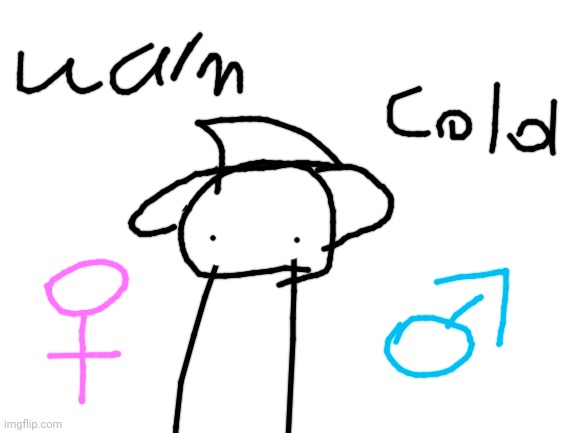 miau's gender be like | image tagged in blank white template | made w/ Imgflip meme maker