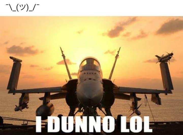 Fighter jet whatever Blank Meme Template
