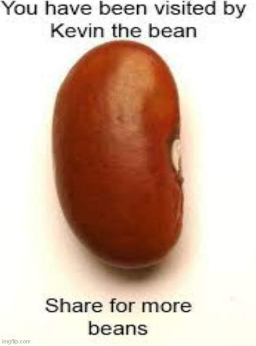Kevin the bean | image tagged in beans | made w/ Imgflip meme maker