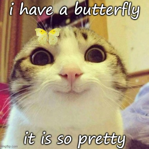 Smiling Cat | i have a butterfly; it is so pretty | image tagged in memes,smiling cat | made w/ Imgflip meme maker