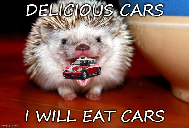 angry Hedgehog | DELICIOUS CARS; I WILL EAT CARS | image tagged in angry hedgehog,eat a car | made w/ Imgflip meme maker