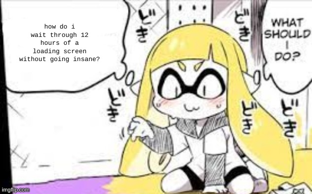 what should i do splatoon | how do i wait through 12 hours of a loading screen without going insane? | image tagged in what should i do splatoon | made w/ Imgflip meme maker