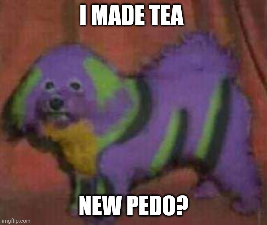 Idk i just got back to this shit | I MADE TEA; NEW PEDO? | image tagged in dog-01 | made w/ Imgflip meme maker