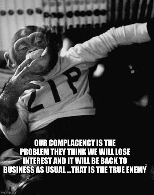 Zip the Smoking Chimp | OUR COMPLACENCY IS THE PROBLEM THEY THINK WE WILL LOSE INTEREST AND IT WILL BE BACK TO BUSINESS AS USUAL …THAT IS THE TRUE ENEMY | image tagged in zip the smoking chimp | made w/ Imgflip meme maker