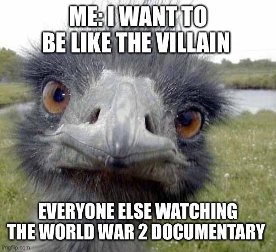 Yes yes I do | ME: I WANT TO BE LIKE THE VILLAIN; EVERYONE ELSE WATCHING THE WORLD WAR 2 DOCUMENTARY | image tagged in cold stare of ostrich | made w/ Imgflip meme maker