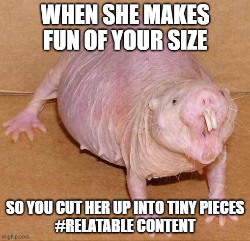 naked mole rat | WHEN SHE MAKES FUN OF YOUR SIZE; SO YOU CUT HER UP INTO TINY PIECES
#RELATABLE CONTENT | image tagged in mole,kill,wife,funny,small,emo | made w/ Imgflip meme maker
