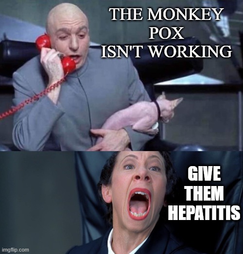 Dr Evil and Frau | THE MONKEY POX ISN'T WORKING; GIVE THEM HEPATITIS | image tagged in dr evil and frau | made w/ Imgflip meme maker