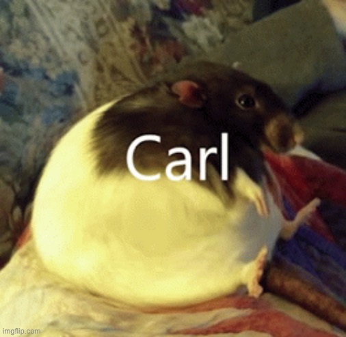 Carl | image tagged in carl | made w/ Imgflip meme maker