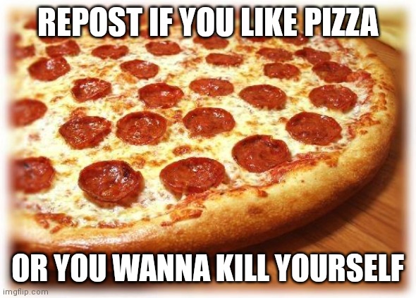 Coming out pizza  | REPOST IF YOU LIKE PIZZA; OR YOU WANNA KILL YOURSELF | image tagged in coming out pizza | made w/ Imgflip meme maker