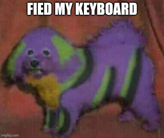 Not rly but like al!ost | FIED MY KEYBOARD | image tagged in dog-01 | made w/ Imgflip meme maker