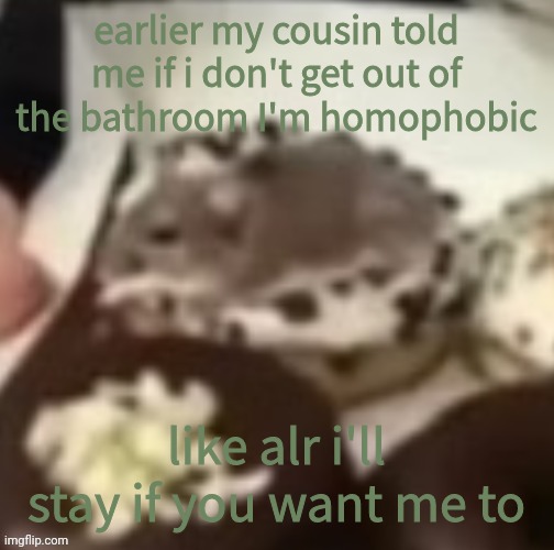 wow this is based | earlier my cousin told me if i don't get out of the bathroom I'm homophobic; like alr i'll stay if you want me to | image tagged in aww the mouse | made w/ Imgflip meme maker