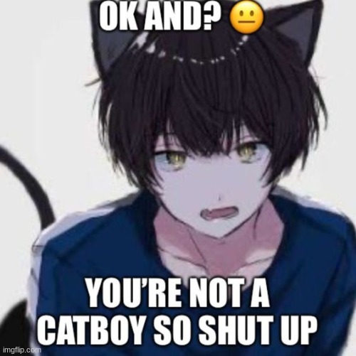 ok and? | image tagged in ok and | made w/ Imgflip meme maker