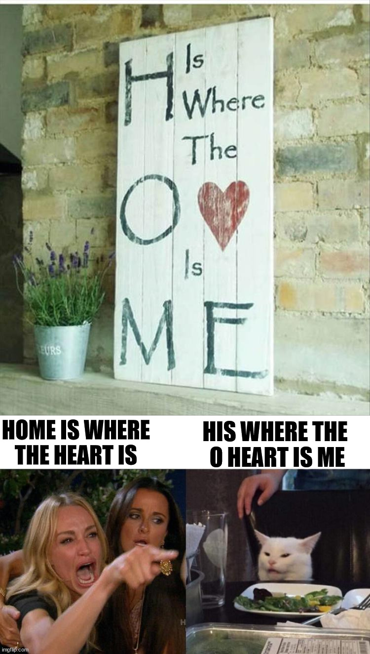 This is terrible | HIS WHERE THE 
O HEART IS ME; HOME IS WHERE THE HEART IS | image tagged in memes,woman yelling at cat,funny signs | made w/ Imgflip meme maker