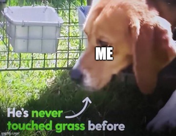 He's never touched grass before | ME | image tagged in he's never touched grass before | made w/ Imgflip meme maker