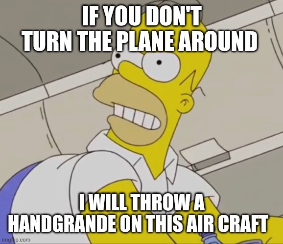 IF YOU DON'T TURN THE PLANE AROUND; I WILL THROW A HANDGRANDE ON THIS AIR CRAFT | image tagged in homer simpson | made w/ Imgflip meme maker