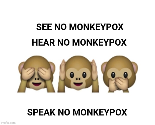 This IS the vaccine | HEAR NO MONKEYPOX; SEE NO MONKEYPOX; SPEAK NO MONKEYPOX | image tagged in monkey,vaccine | made w/ Imgflip meme maker