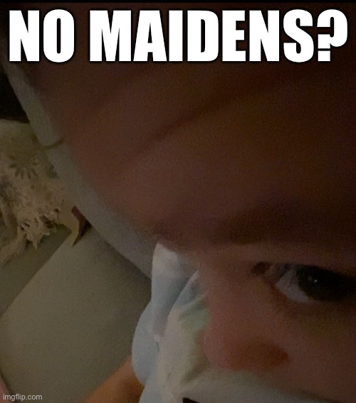 No maidens? | NO MAIDENS? | image tagged in megamind,no bitches,megamind no bitches | made w/ Imgflip meme maker