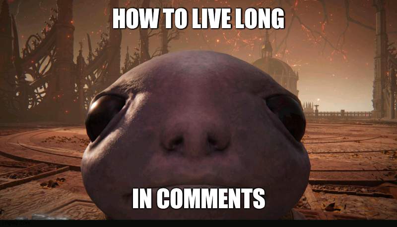 amazing | HOW TO LIVE LONG; IN COMMENTS | image tagged in staring albinauric | made w/ Imgflip meme maker
