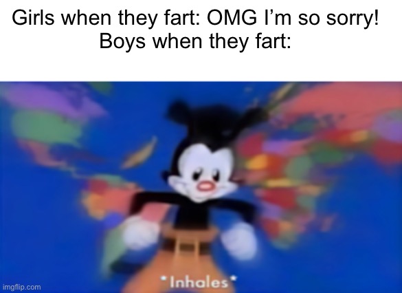 B v G | Girls when they fart: OMG I’m so sorry!
Boys when they fart: | image tagged in yakko inhale,funny,memes | made w/ Imgflip meme maker