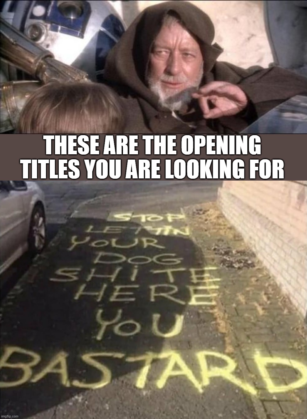 THESE ARE THE OPENING TITLES YOU ARE LOOKING FOR | image tagged in memes,these aren't the droids you were looking for | made w/ Imgflip meme maker