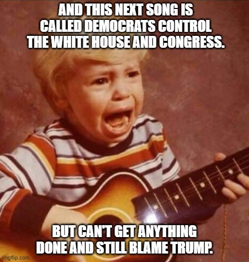 Excuses | AND THIS NEXT SONG IS CALLED DEMOCRATS CONTROL THE WHITE HOUSE AND CONGRESS. BUT CAN'T GET ANYTHING DONE AND STILL BLAME TRUMP. | image tagged in guitar crying kid,joe biden,nancy pelosi,chuck schumer,congress,white house | made w/ Imgflip meme maker
