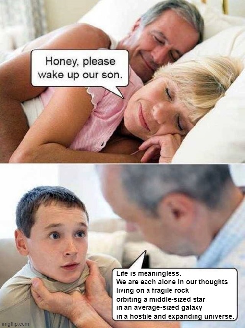honey, please wake up our son | Life is meaningless. We are each alone in our thoughts living on a fragile rock orbiting a middle-sized star in an average-sized galaxy in a hostile and expanding universe. | image tagged in honey please wake up our son | made w/ Imgflip meme maker