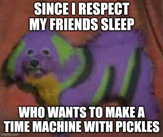 /hj | SINCE I RESPECT MY FRIENDS SLEEP; WHO WANTS TO MAKE A TIME MACHINE WITH PICKLES | made w/ Imgflip meme maker