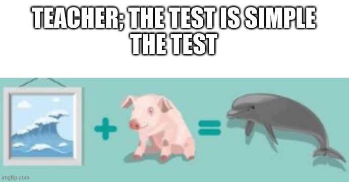 no title | TEACHER; THE TEST IS SIMPLE
THE TEST | image tagged in funny,meme | made w/ Imgflip meme maker