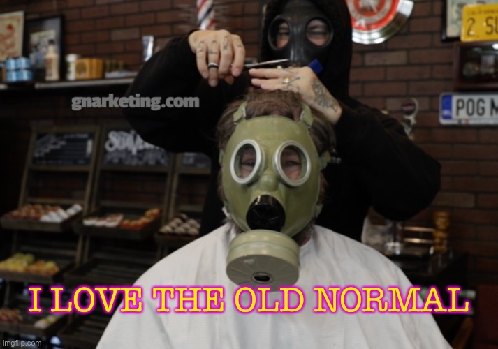 I LOVE THE OLD NORMAL | I LOVE THE OLD NORMAL | image tagged in how to x in 2020 | made w/ Imgflip meme maker