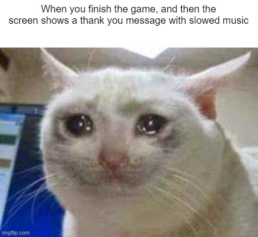 Can gamers relate to this? |  When you finish the game, and then the screen shows a thank you message with slowed music | image tagged in sad cat | made w/ Imgflip meme maker