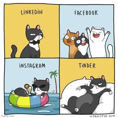 A Cat's Way Of Thinking | image tagged in memes,comics,cats,social media,websites,pictures | made w/ Imgflip meme maker